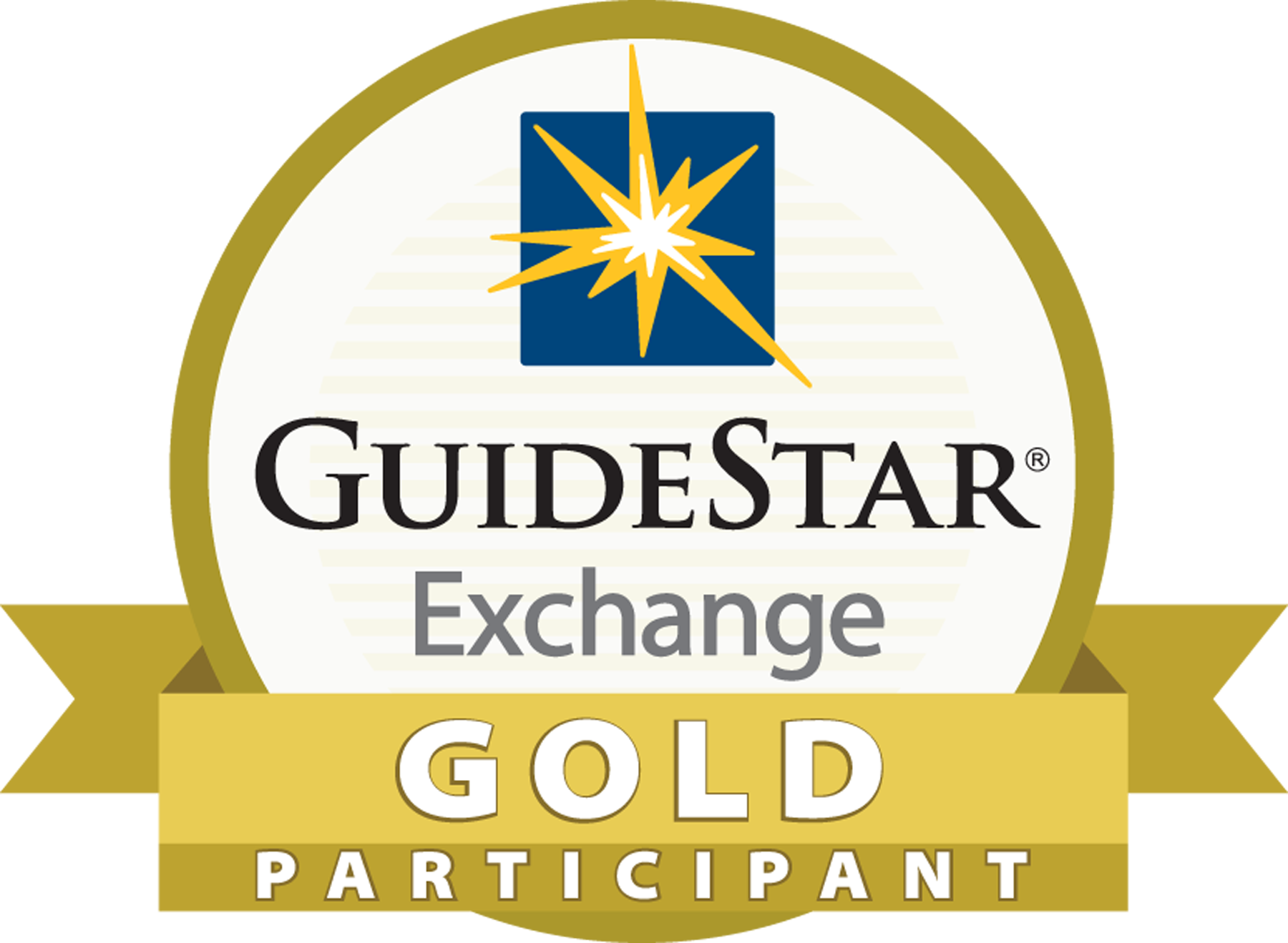 Guidestar Gold Transparency 2021 image